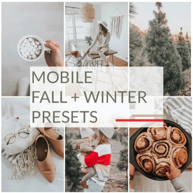 Mobile fall + winter presets: Fall + Winte, DNG (Bethany Poteet)