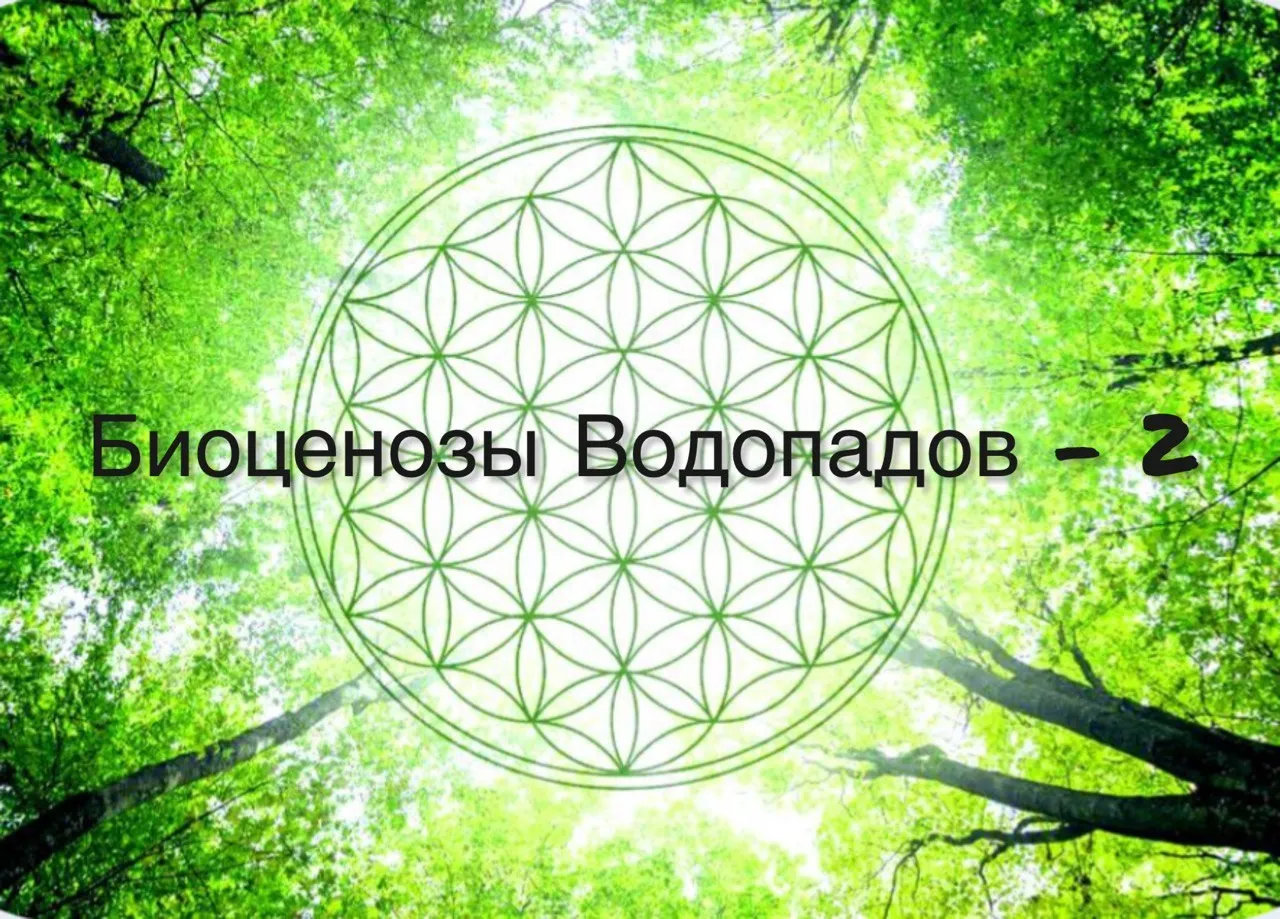 Семинар «Целительство. Биоценозы водопадов — часть 2»  (SelenaS)