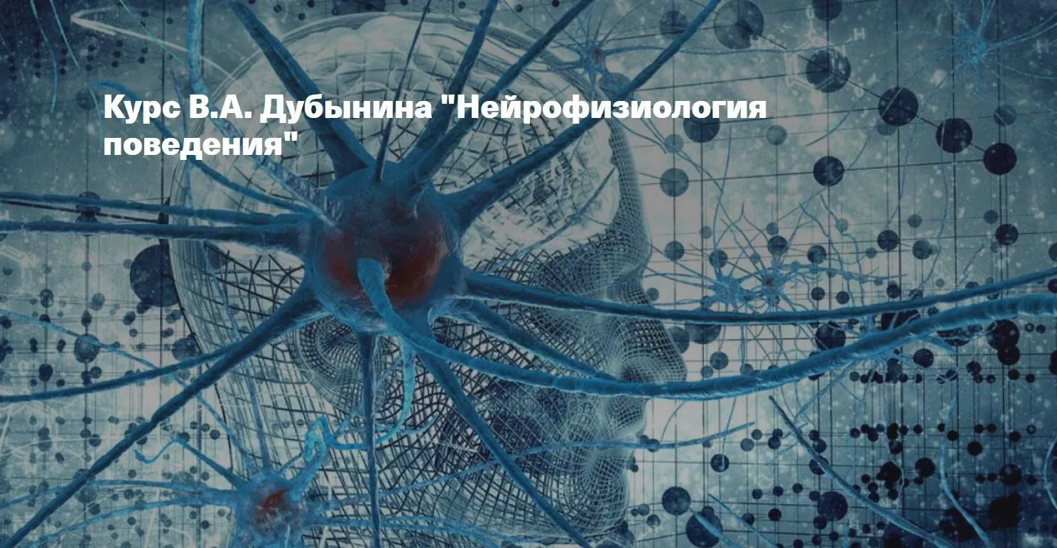 [Архэ] Нейрофизиология поведения (Вячеслав Дубынин)