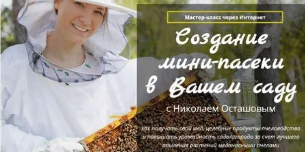 [Жизнь на Земле] Мини-пасека в вашем саду (Николай Осташов)