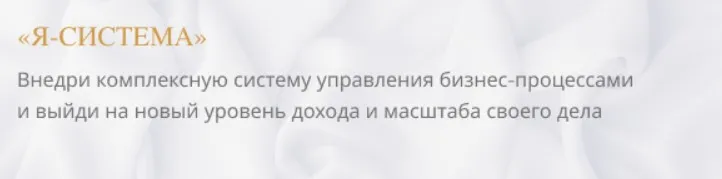 Я - система (Анастасия Лобанова)