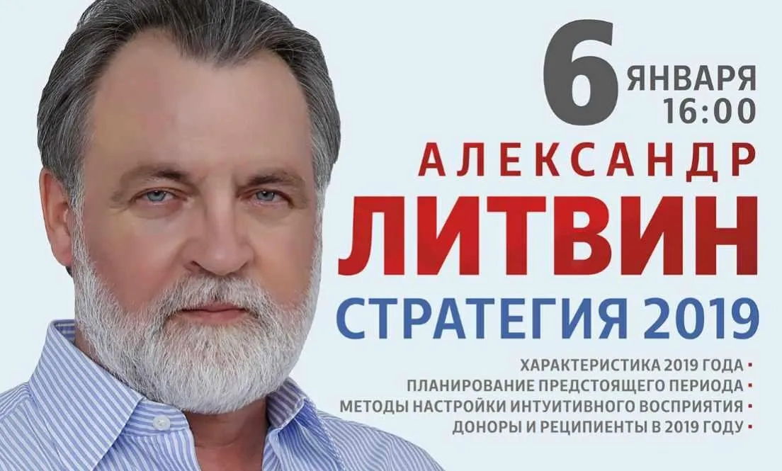 Стратегия 2019 (Александр Литвин)