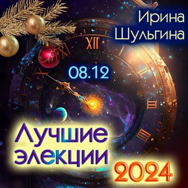 Лучшие элекции 2024 (Ирина Шульгина)