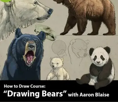 Как рисовать медведей  |  How to Draw Bears (Аарон Блейз)