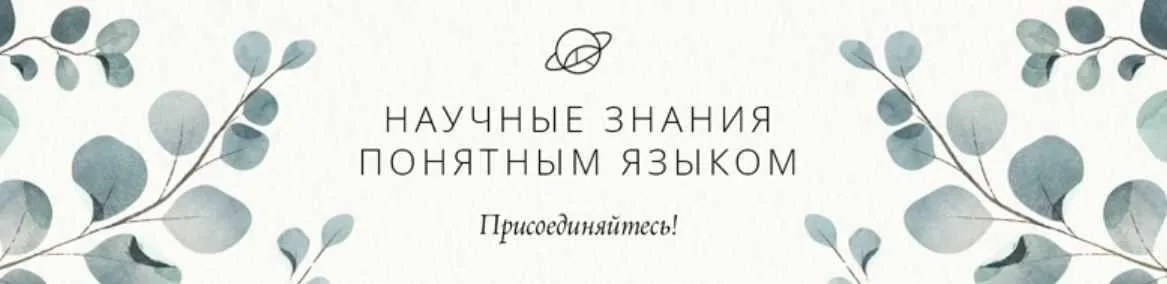 [Учебный центр Обитель] Фитотерапия и беременность (Яна Горбовская)
