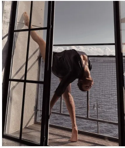 [Topstretching] Вертикальные шпагаты: как быстро и безопасно достичь результата? (Елена Рухова)