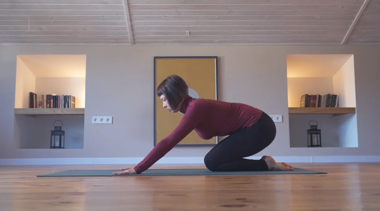 [YWS] Inception Yoga Workout System. Level 1 (Андрей Сидерский)
