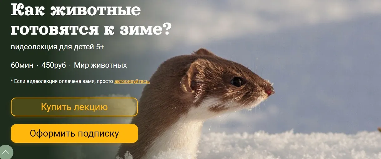 [Детский лекторий] Как животные готовятся к зиме? (Александр Толмачев)