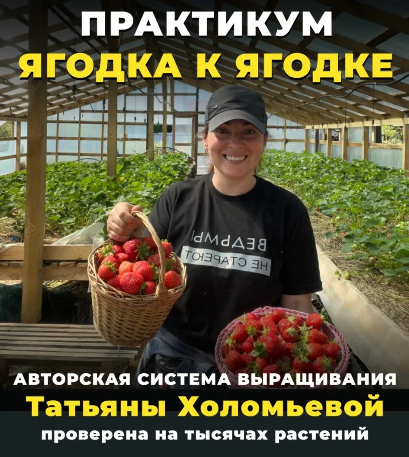 [Реальный садовод] Практикум ягодка к ягодке (Татьяна Холомьёва)