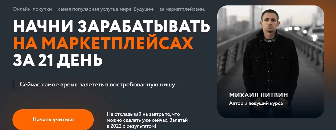 Начни зарабатывать на маркетплейсах за 21 день (Михаил Литвин, Татьяна Бакальчук)
