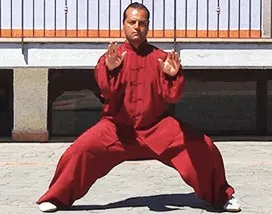 Qi Gong - Sequenza Madre. Внутренняя механика цигун. Часть 2 из 3 (Gianfranco)