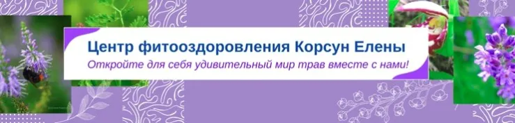[Fitomama] Фитотерапия в онкологии Часть 1 (Елена Корсун)