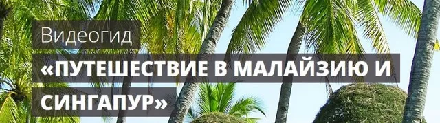 Видеогид «Путешествие в Малайзию и Сингапур» (Максим Шаинский)
