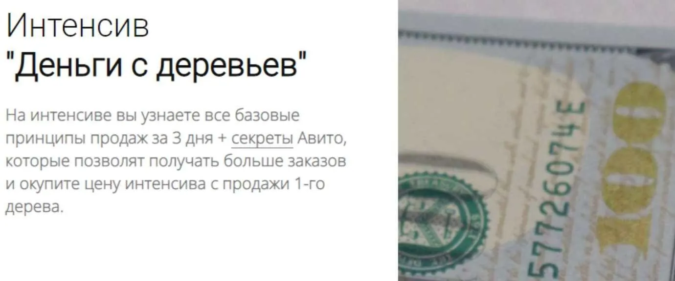 Деньги с деревьев (my.love.dom)