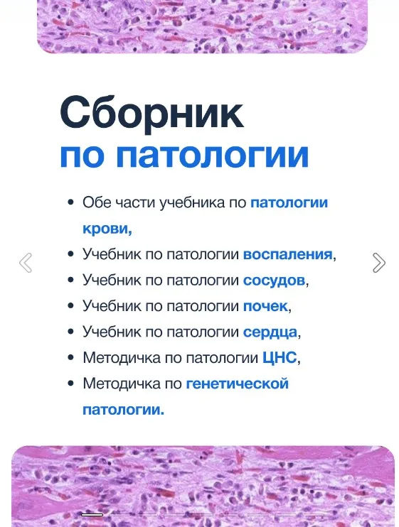 [Synapse] Сборник по Паталогии