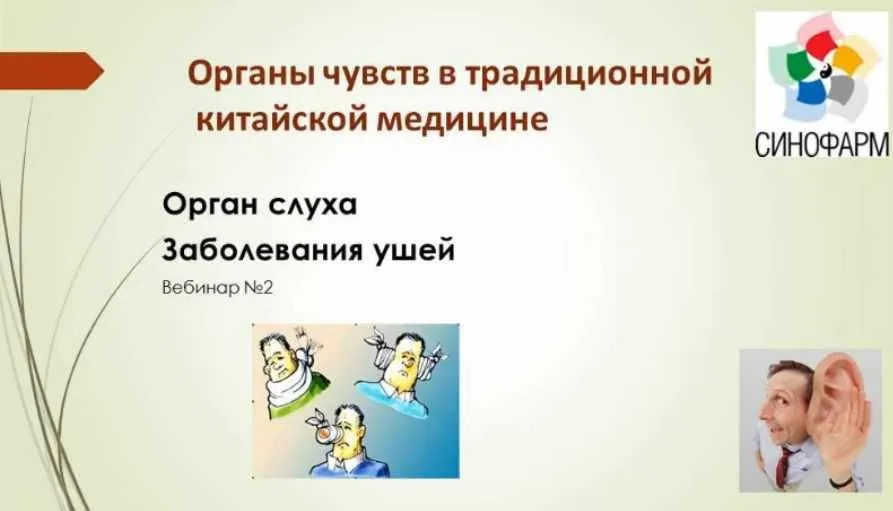 Органы чувств в традиционной китайской медицине. Орган слуха. Заболевание ушей (Лада Боровикова)