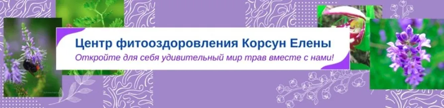 Фитотерапия при тромбозах (Елена Корсун)