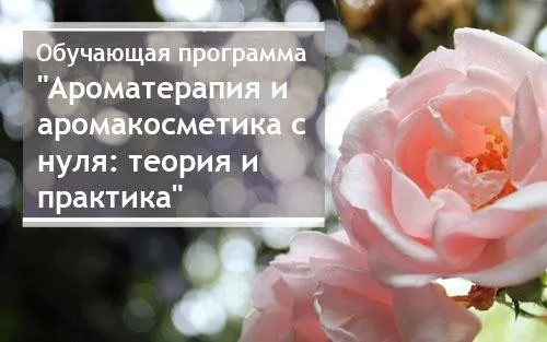 Базовая обучающая программа «Ароматерапия и аромакосметика с нуля: теория и практика» (Ирина Живилина)