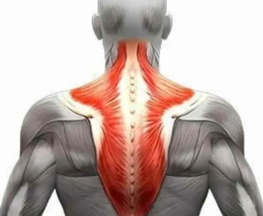 [Sigh Energy] Neck Workout Powerful Plus +11x (Extra Strong) Тренировка шеи без упражнений