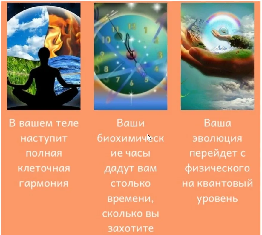 Эволюция акупунктуры (Юджиния Квант)