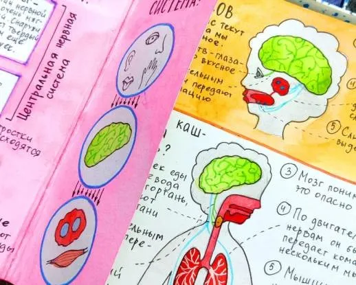[hurlyburlyschool] 21 блок годового курса Окружающий мир (Ольга Сафронова)
