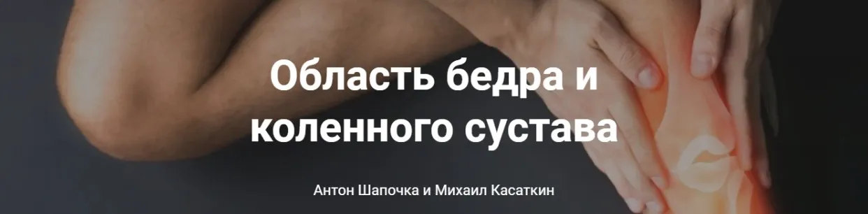 От анатомии к упражнениям. Область бедра и коленного сустава (Михаил Касаткин, Антон Шапочка, Александр Гущин)
