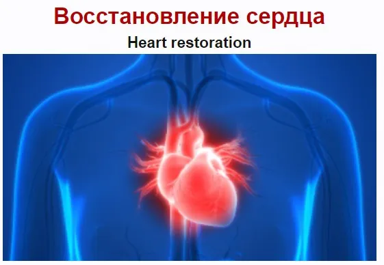 [Sigh Energy] Восстановление сердца | Heart restoration