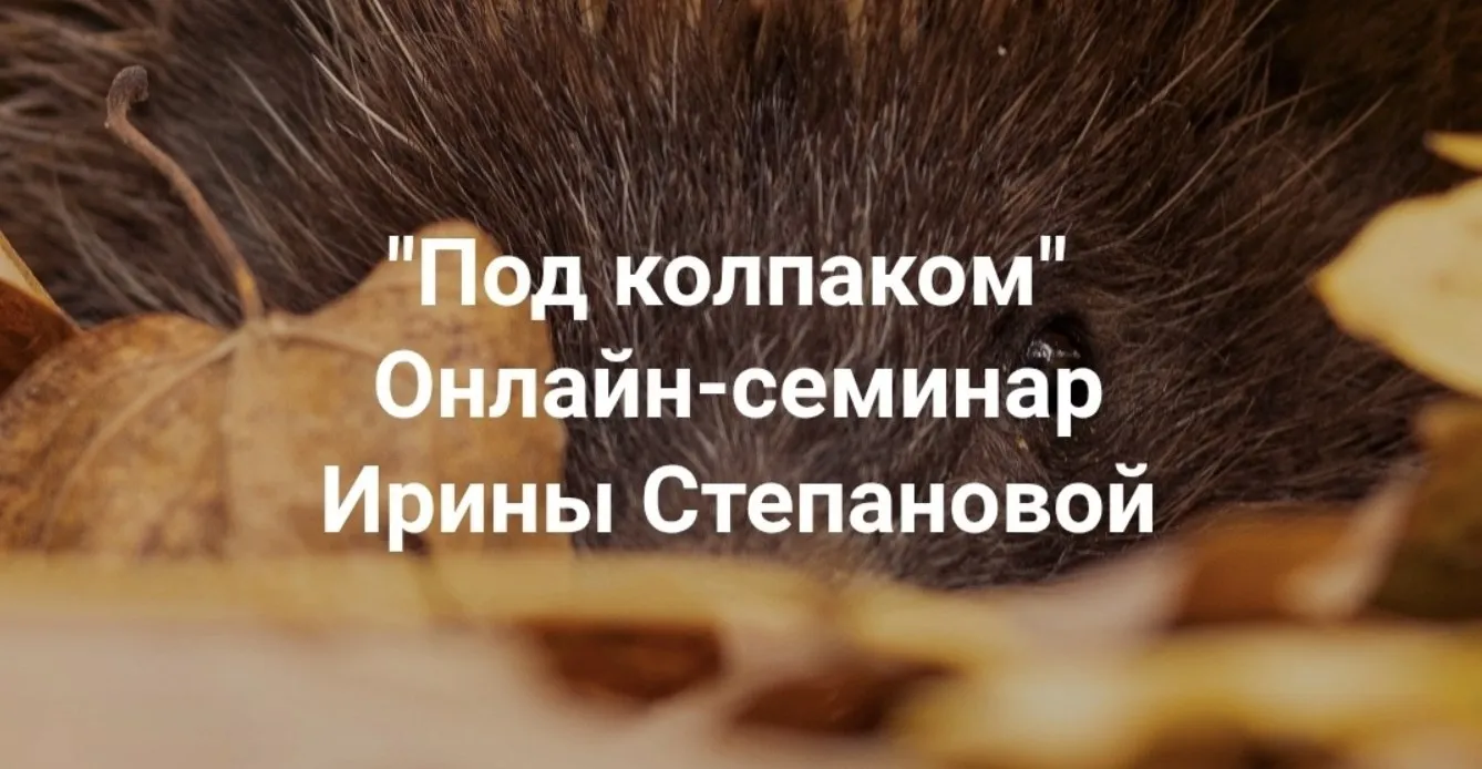 [Институт Открытого поля] Под колпаком. Травма невидимости. Меня не замечают. Не получается составить отношения  (Ирина Степанова)