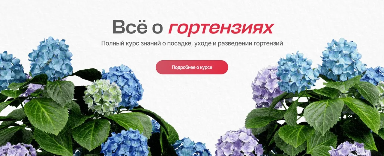 [Умный садовник] Всё о гортензиях. Тариф Самостоятельный (Дмитрий Звонка, Ольга Никитина)