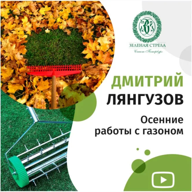 [Зеленая стрела] Осенние работы с газоном (Дмитрий Лянгузов)