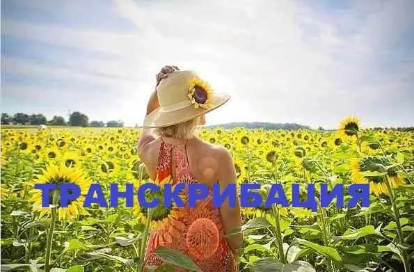 Транскрибация. Высокие вибрации (Lee)