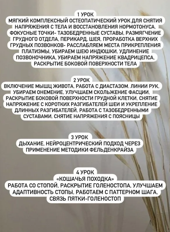 [chasnyk_stylist] Секта. Март 2023 (Ксения Часнык)
