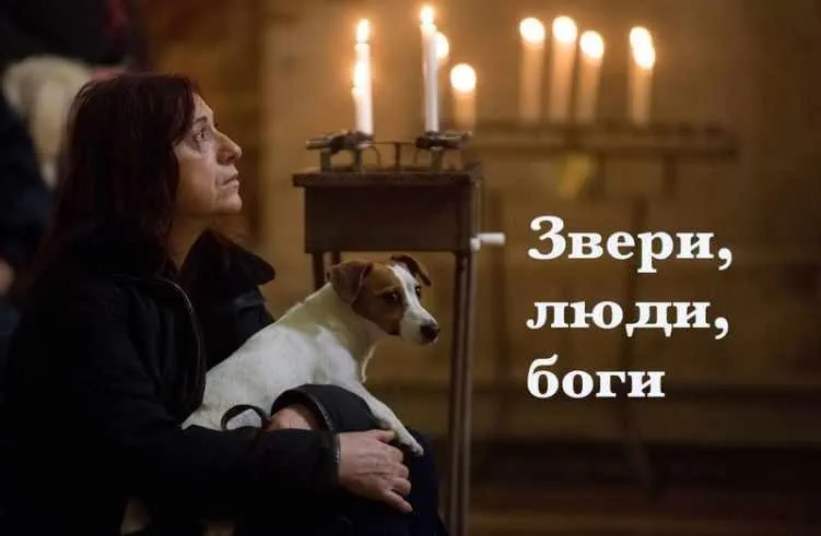 Звери, люди, боги (Константин Михайлов)