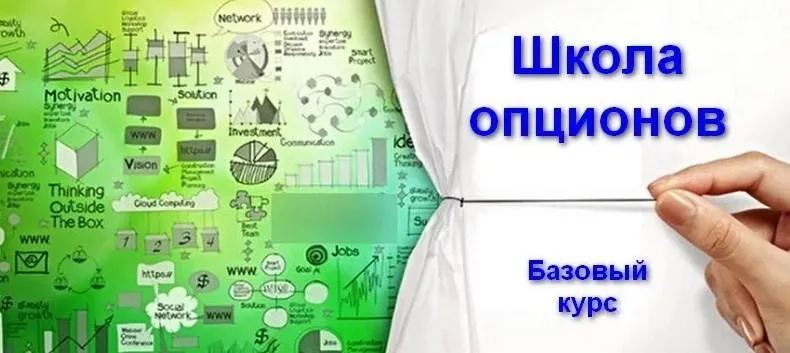 Школа опционов. Базовый курс (Павел Пахомов)