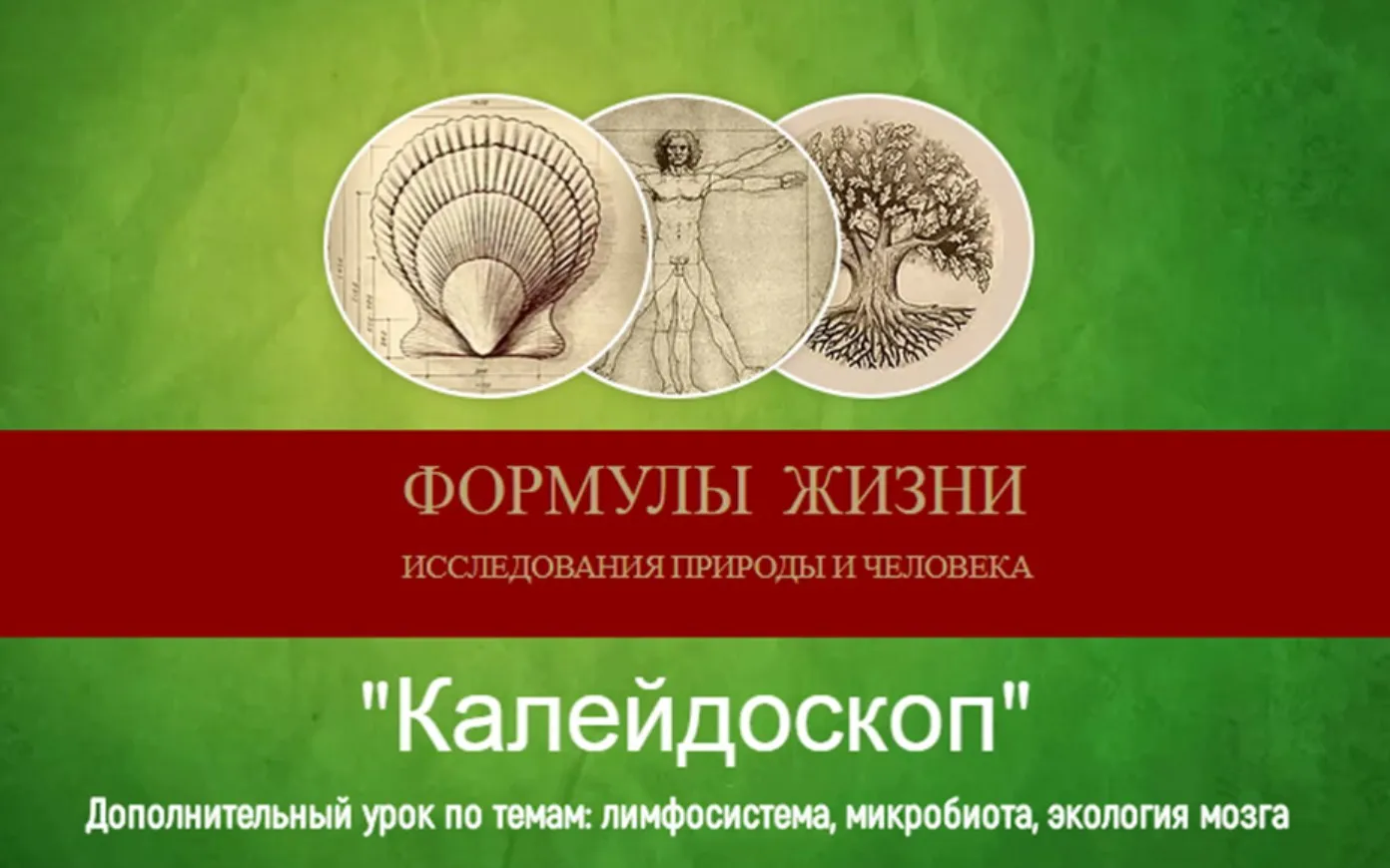 Калейдоскоп. Дополнительный урок (Эдуард Витюк)
