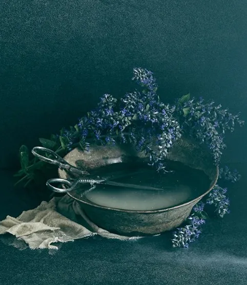 Still life в домашних условиях (Ольга Тупоногова-Волкова)
