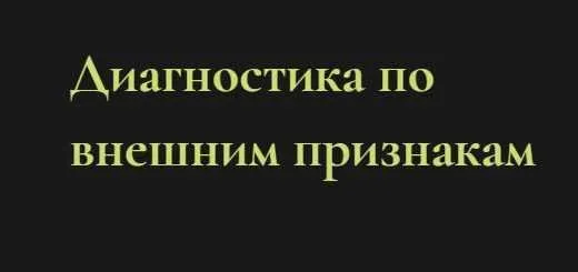 Диагностика по внешним признакам (Ольга Григорьева)