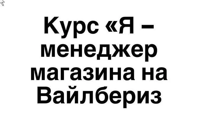 Я - менеджер магазина на Вайлдберриз. Поток 1. Тариф Чисто теория (Татьяна Карпова)
