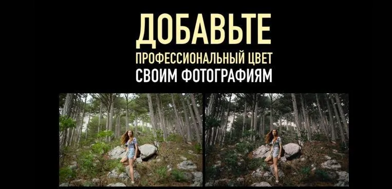 Как сочетать цвета в фотографиях (Александр Заморин, Дмитрий Рогожкин)
