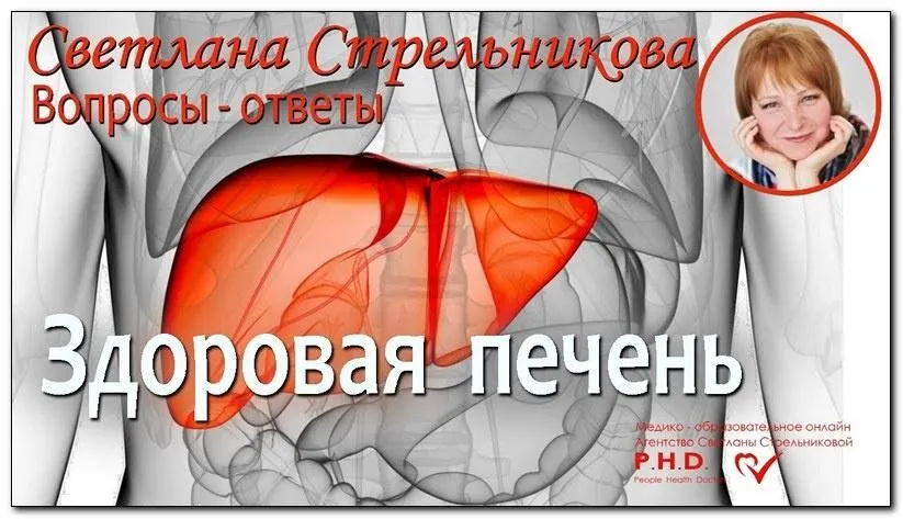 Тренинг Здоровая печень 2.0. Тариф VIP (Светлана Стрельникова)