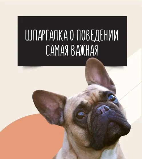 Шпаргалка о поведении (Ольга Сысоева)
