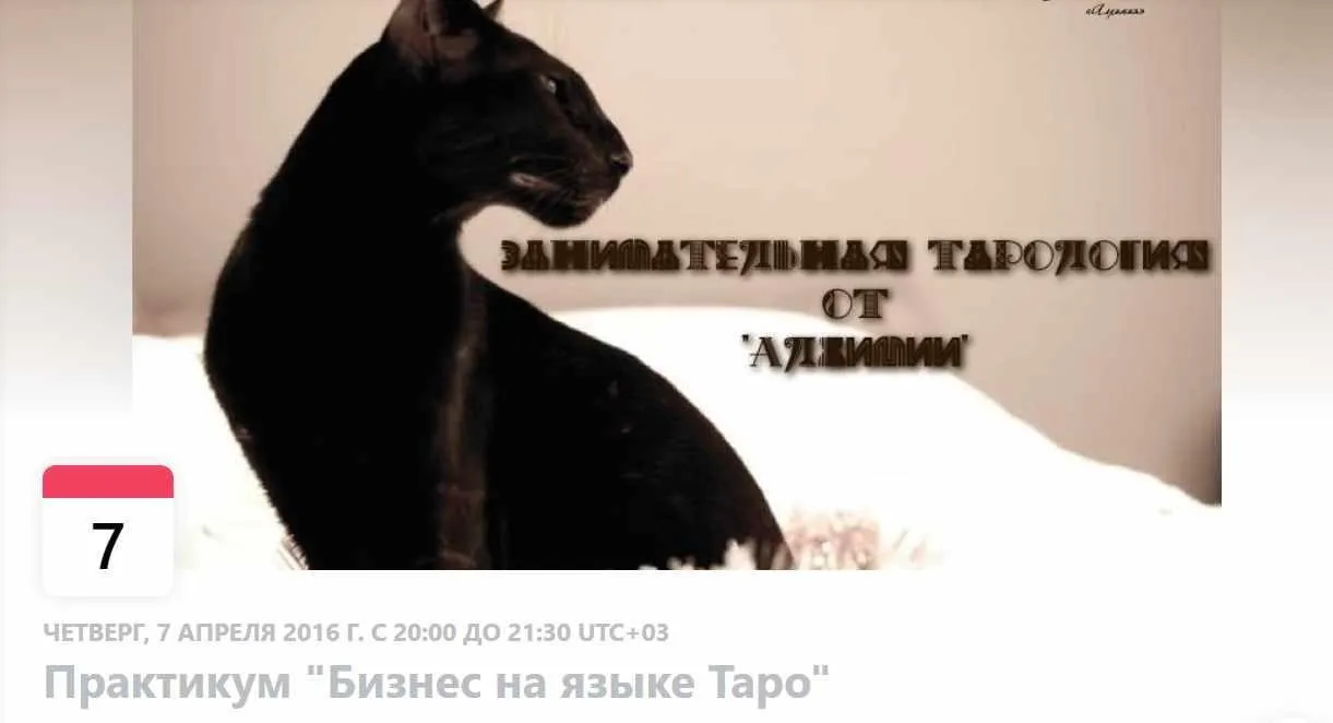 Бизнес на языке Таро (Вероника Никитенко)