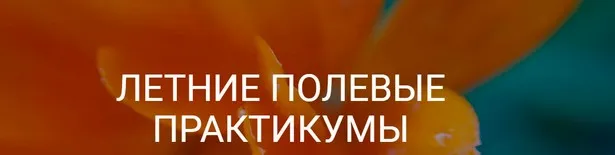 Рождение ароматерапевта или введение в Клиническую ароматерапию. 1 блок (Александра Кожевникова)