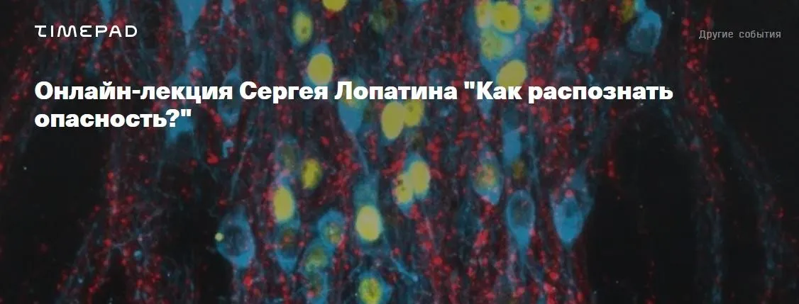 [Архэ] Как распознать опасность? (Сергей Лопатин)