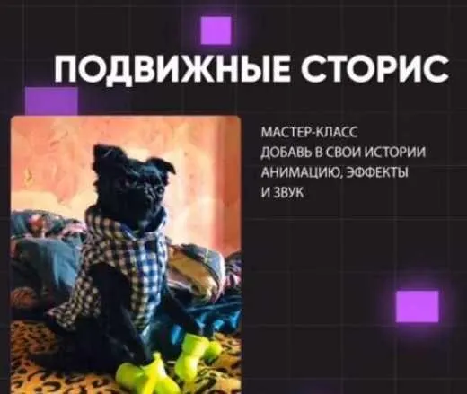 [stories_mks] Мастер-класс по анимированным сторис