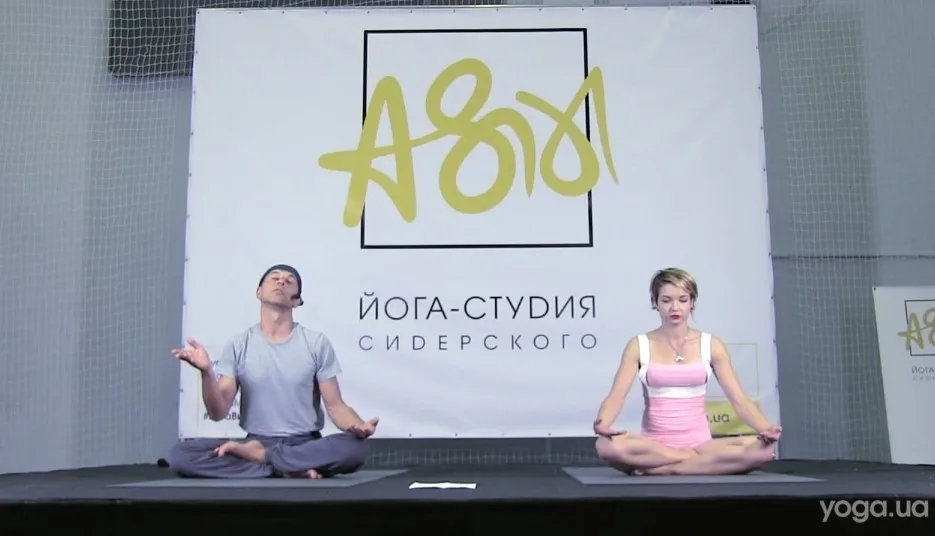 Йога асана экспресс, 2015 (Андрей Сидерский, Елена Сидерская)