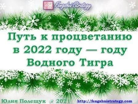 [Fengshui Strategy] Путь к Процветанию в 2022 году - году Водного Тигра (Юлия Полещук)