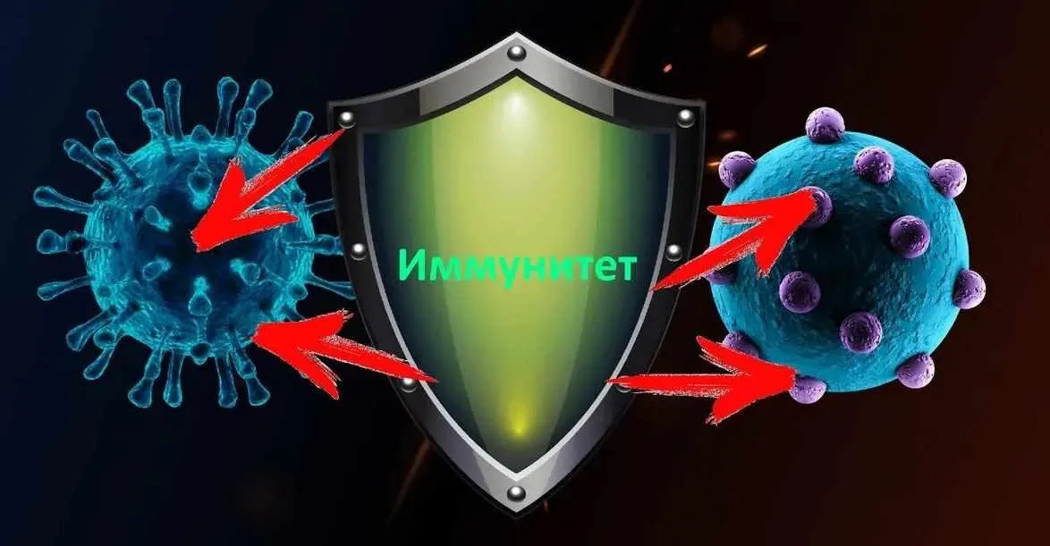 Поднять иммунитет (Тамир Шихалиев)