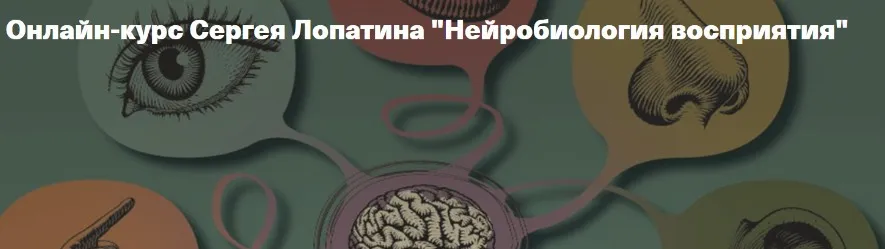[Архэ] Нейробиология восприятия. Зрение. От фотона к мозгу. Лекция 1 (Сергей Лопатин)