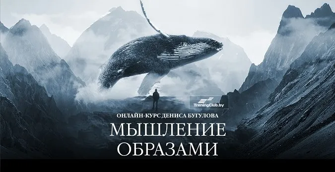 Мышление образами. Тариф Standart  (Сергей Володько, Денис Бугулов)